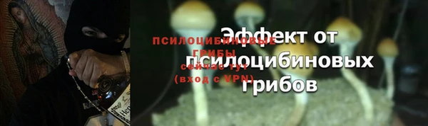 ГАЛЛЮЦИНОГЕННЫЕ ГРИБЫ Абинск