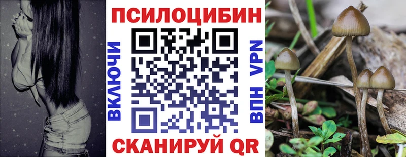 Галлюциногенные грибы Psilocybine cubensis  Алзамай 